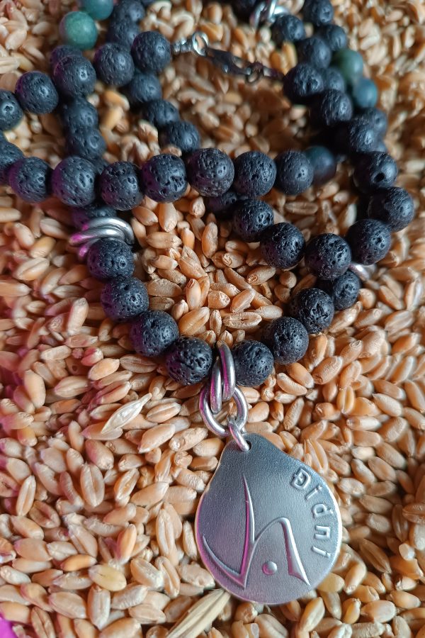 Collar Harley 925, más amuleto Didni.